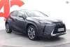 Lexus UX 300e Luxury - Akun bruttokapasiteetti 72,8 kWh. Miljoonan kilometrin / 10 vuoden akkuturva. Thumbnail 7