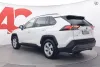 Toyota RAV4 2,5 Hybrid Active Edition - PLUS-PAKETTI / HELMI Thumbnail 3